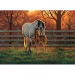 Puzzle  Cobble-Hill-45002 XXL Teile - Quiet Time