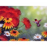 Puzzle   Abraham Hunter - Hummingbird and Red Flower