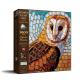 Stained Glass Owl