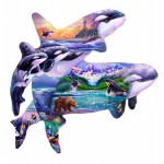 Puzzle   Steve Sundram - Orca Habitat