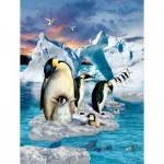 Puzzle  Sunsout-35149 XXL Teile - Penguin Colony