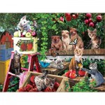 Puzzle  Sunsout-42284 XXL Teile - Apple Harvest