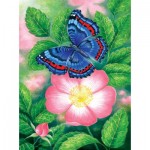 Puzzle  Sunsout-48218 Blue Butterfly