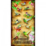 Puzzle  Sunsout-66401 XXL Teile - Hummingbirds of North of America