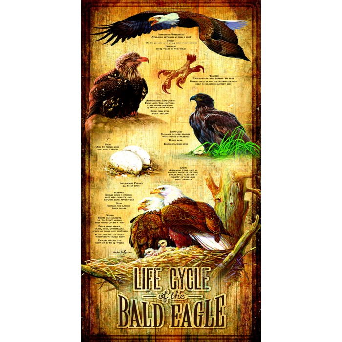 Puzzle Sunsout-66406 XXL Teile - Life Cycle of the Bald Eagle