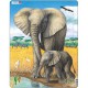 Rahmenpuzzle - Elefanten