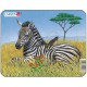 Rahmenpuzzle - Zebra