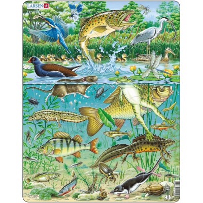 Larsen-FH19 Rahmenpuzzle - Tiere am Teich