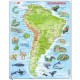 Rahmenpuzzle - Südamerika