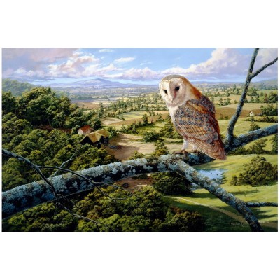 Wentworth-592206 Holzpuzzle - Barn Owl