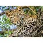 Puzzle   Durch die Augen des Leoparden