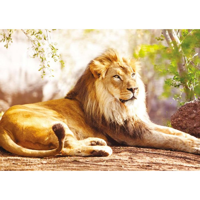 Puzzle Nathan-00951 The King of the Savannah