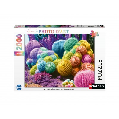 Puzzle Nathan-01142 Regenbogen aus Kaktus