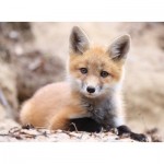 Puzzle  Nathan-87317 Wild Life Collection - Little Fox