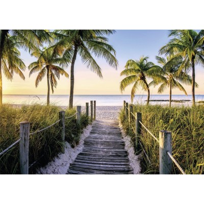 Puzzle Nathan-87547 Strand von Florida