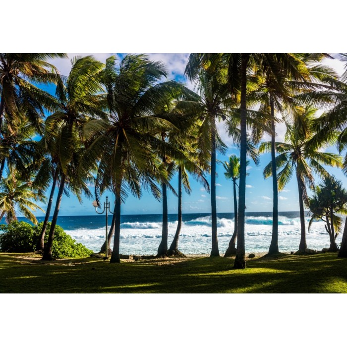 Puzzle  Bluebird-Puzzle-F-90477 Plage et Palmiers, La Réunion, France