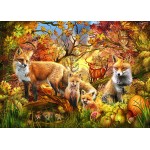 Puzzle  Bluebird-Puzzle-F-90861 Spirit of Autumn