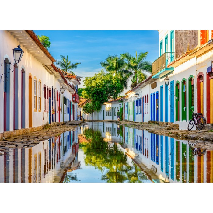 Puzzle  Bluebird-Puzzle-F-90945 Rio de Janeiro - Brésil