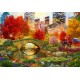 Central Park NYC