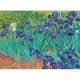 Vincent Van Gogh - Schwertlilien, 1889