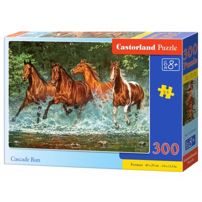 Puzzle Castorland-030361 Kaskadenlauf