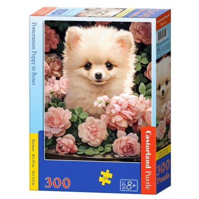 Puzzle Castorland-030552 Zwergspitz-Welpe im Rosenmeer