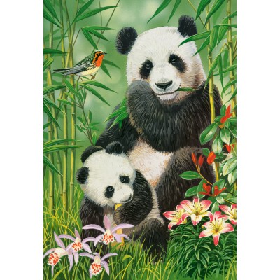 Puzzle Castorland-104987 Panda-Brunch