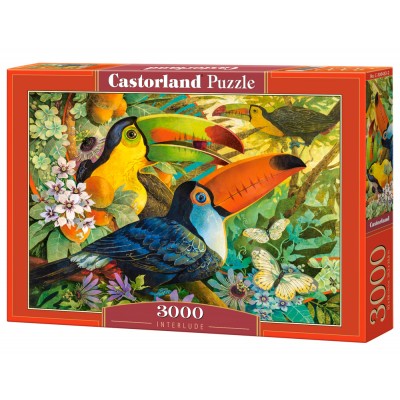 Puzzle Castorland-300433 David Galchutt: Interlude