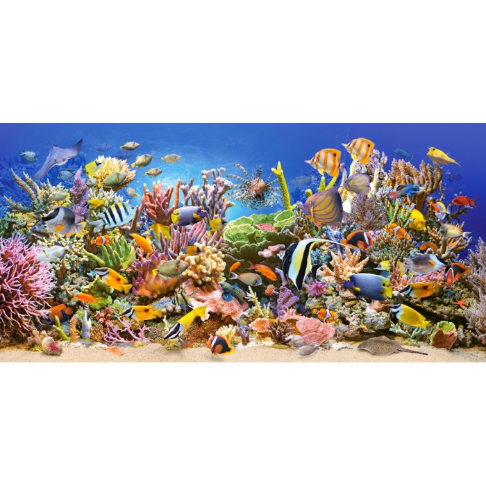 Puzzle Castorland-400089 Unterwasserleben 