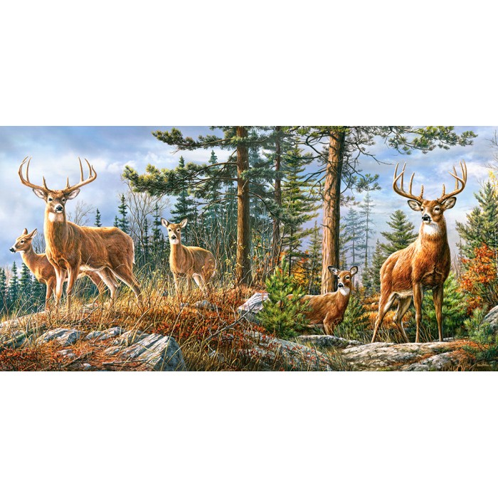 Royal Deer Family