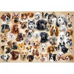 Puzzle   Collage with Dogs