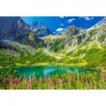 Puzzle   Zelene Pleso, Tatras, Slowakei
