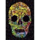 Jon Burgerman - Doodle Skull