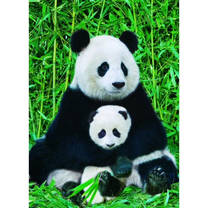 Puzzle  Eurographics-6000-0173 Panda-Familie