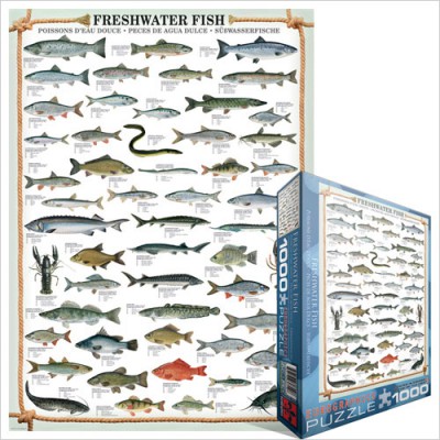 Puzzle Eurographics-6000-0312 Süßwasserfische
