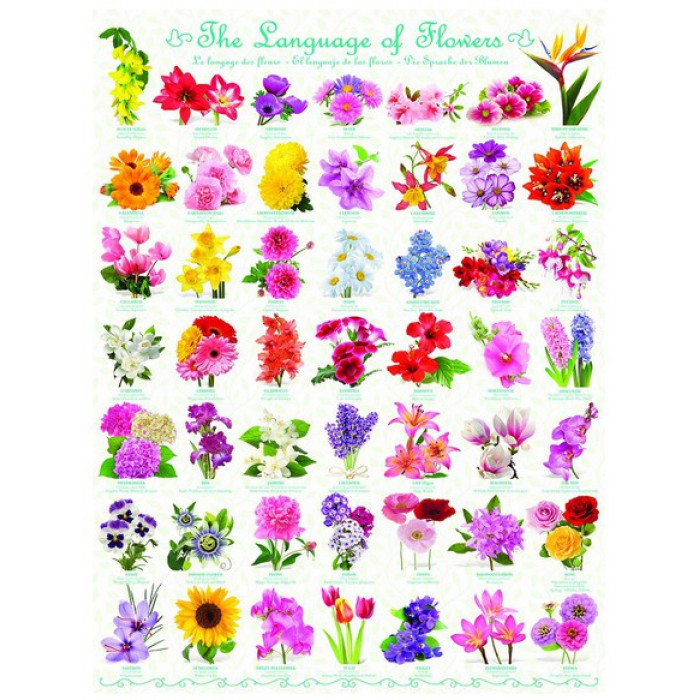 Puzzle Eurographics-6000-0579 Die Blumensprache