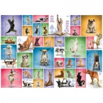 Puzzle  Eurographics-6000-0954 Yoga Dogs