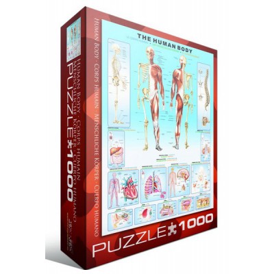 Puzzle Eurographics-6000-1000 Der menschliche Körper