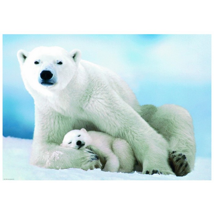 Puzzle Eurographics-6000-1198 Eisbär und Baby