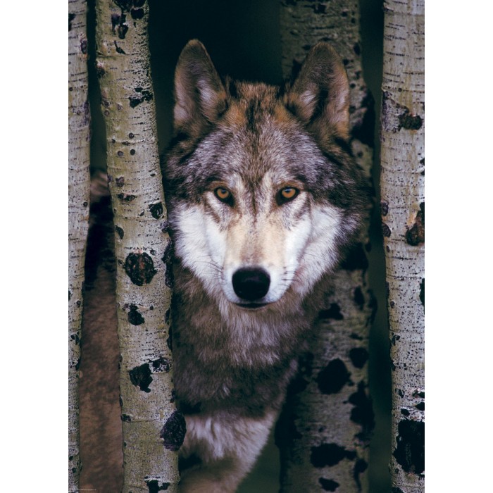 Puzzle  Eurographics-6000-1244 Grauer Wolf