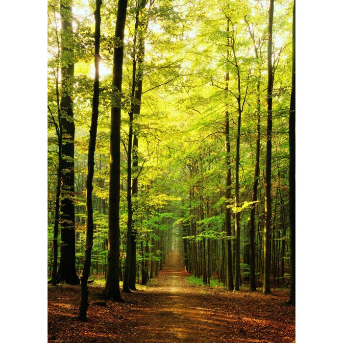 Puzzle Eurographics-6000-3846 Im Wald