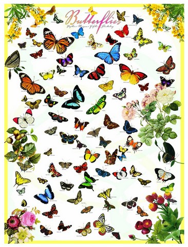 Puzzle Eurographics-8500-0077 Schmetterlinge