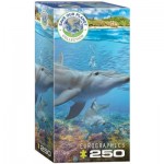 Puzzle   Save the Planet - Dolphins