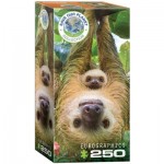 Puzzle   Save the Planet - Sloth