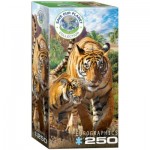 Puzzle   Save the Planet - Tigers