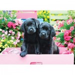 Puzzle   XXL Teile - Black Labs in Pink Box