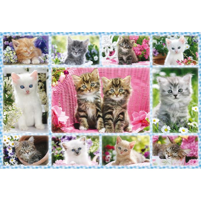 Puzzle  Schmidt-Spiele-56135 Katzenbabies