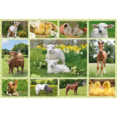 Puzzle Schmidt-Spiele-56194 Tierkinder auf Bauernhof