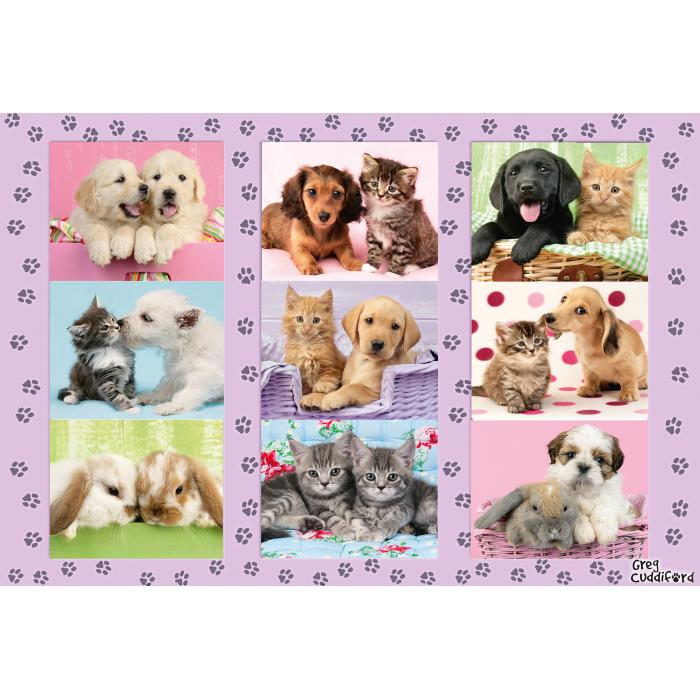 Puzzle  Schmidt-Spiele-56268 Meine Tierfreunde