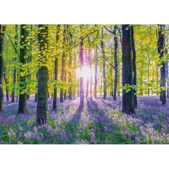 Puzzle   Zarte Glockenblumen im Wald